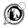 End Loop