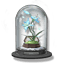 Eternity in Bloom