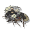 Hình Thể Vô Hình